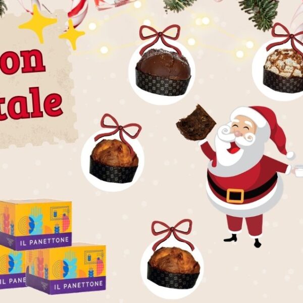 Acquistare panettone artigianale online nella provincia di Torino: la scelta che fa la differenza