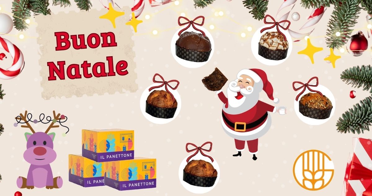 acquistare panettone artigianale online nella provincia di torino la scelta che fa la differenza