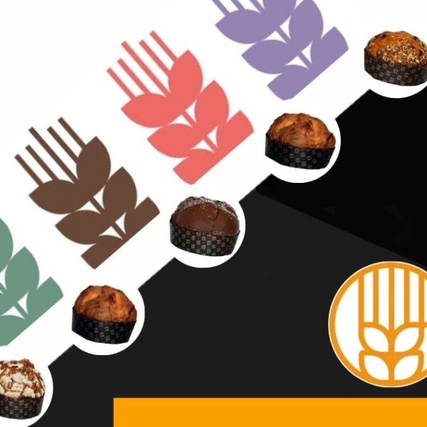 Vendita online panettoni artigianali e gourmet nella provincia di Torino: la tradizione incontra il gusto